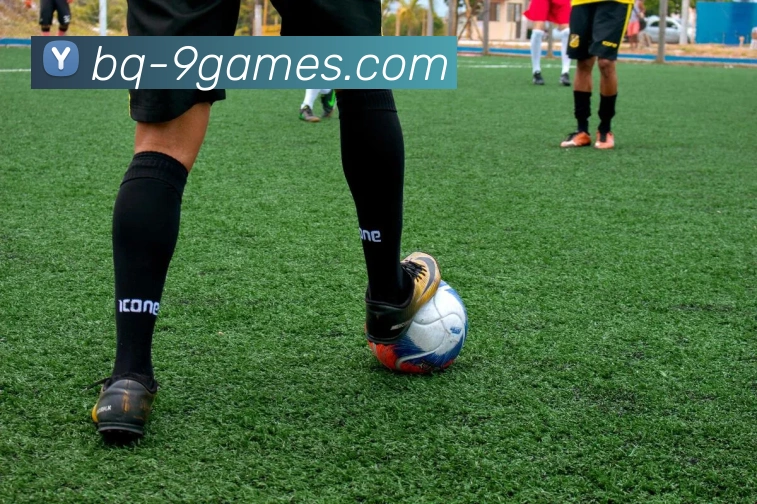 九游会J9官网APP 高清赛事图